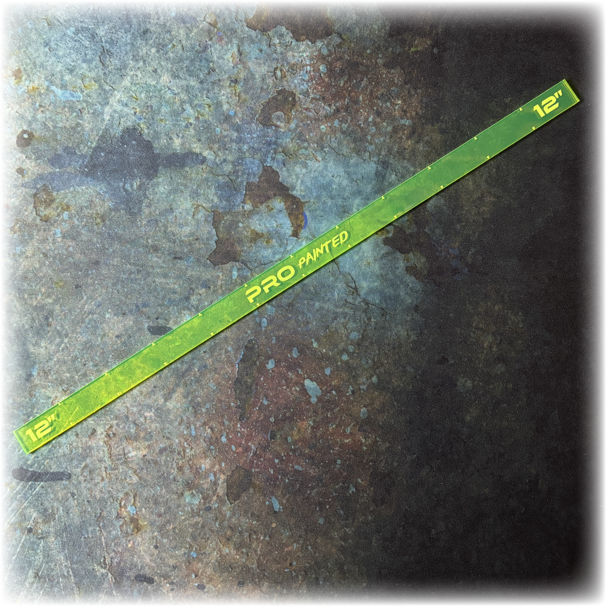12 Inch Measuring Stick